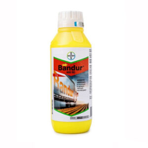 Bandur 600 SC 1 l