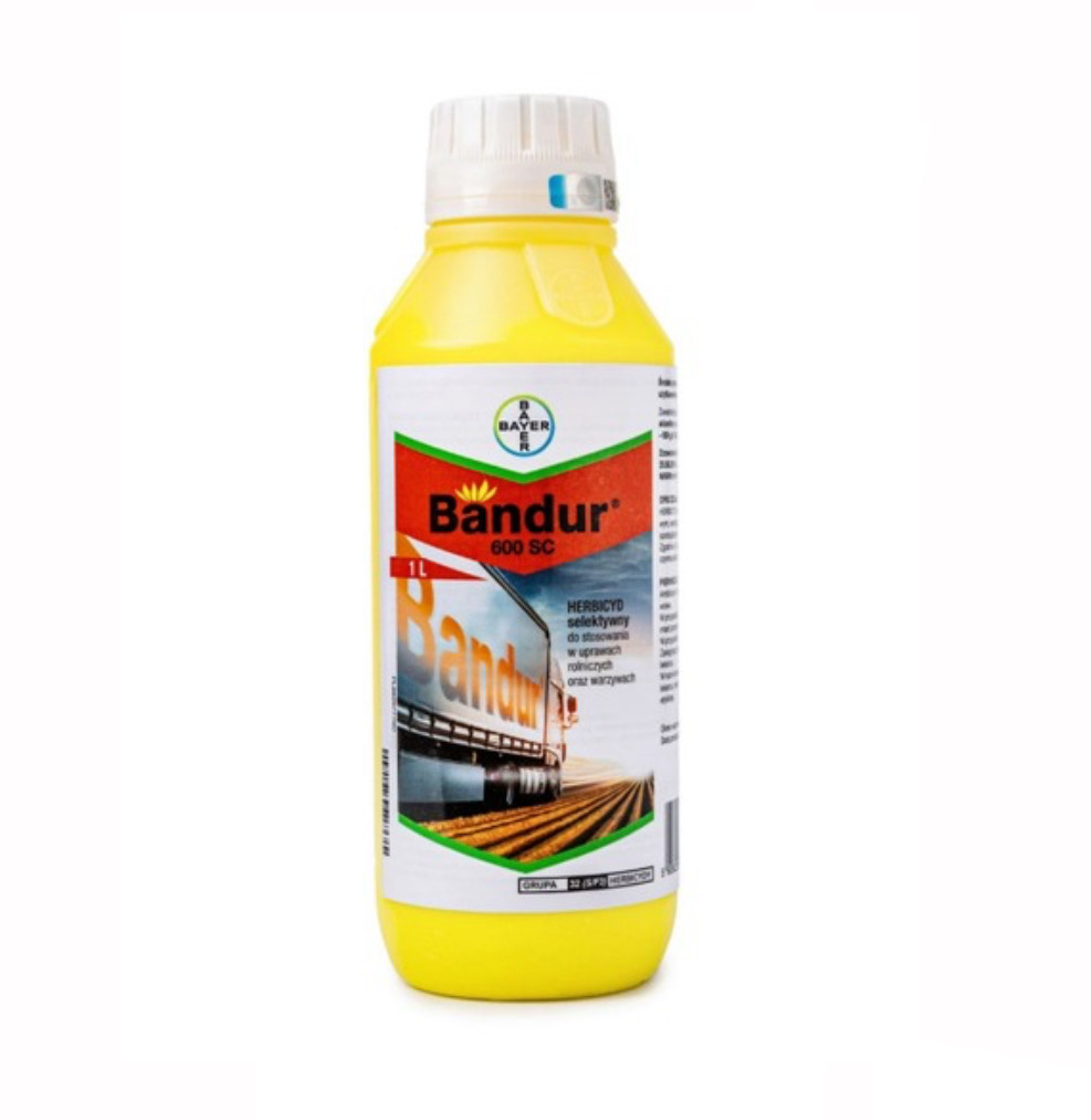 Bandur 600 SC 1 l