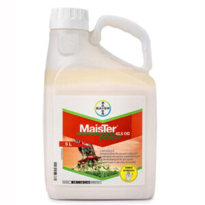 Maister Power 42,5 OD 5 l
