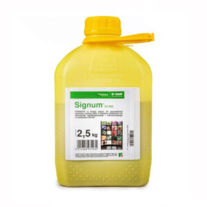 Signum 33 WG 2,5 kg