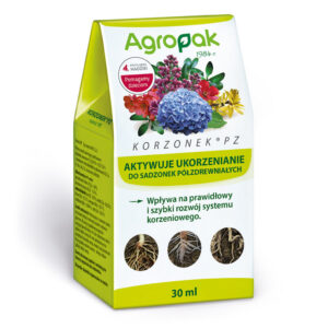 Korzonek PZ 30 ml