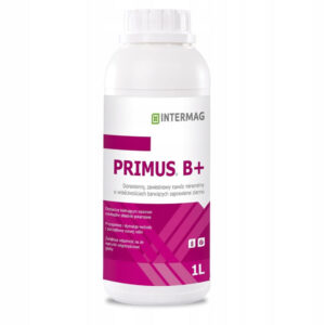 Primus B+ 1 l