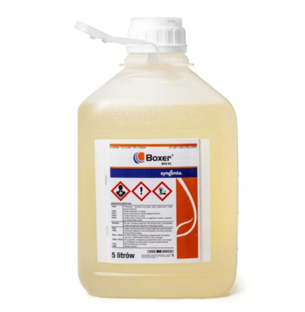 Boxer 800 EC 5 l
