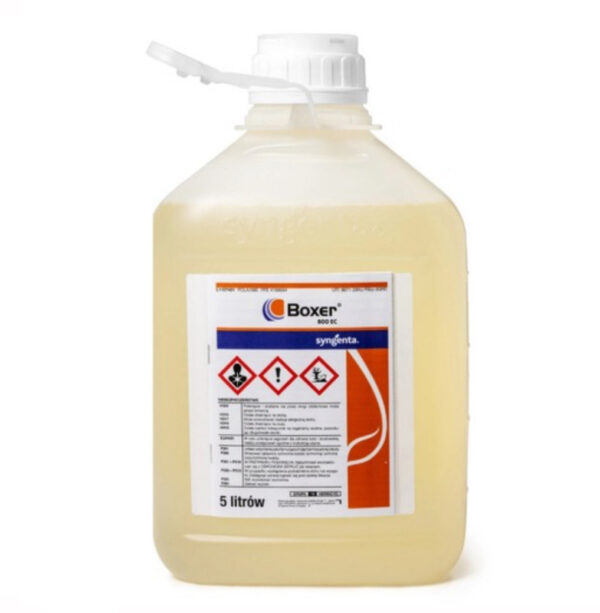 Boxer 800 EC 5 l