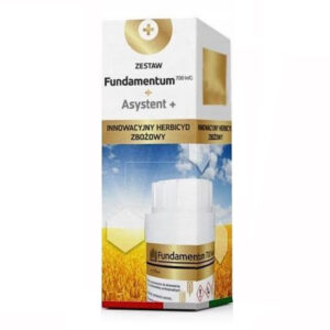 Fundamentum 700 WG 30 g + Asystent 100 ml