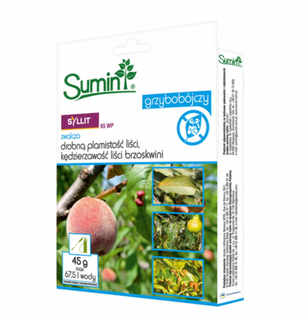 Syllit 65 WP 45 g
